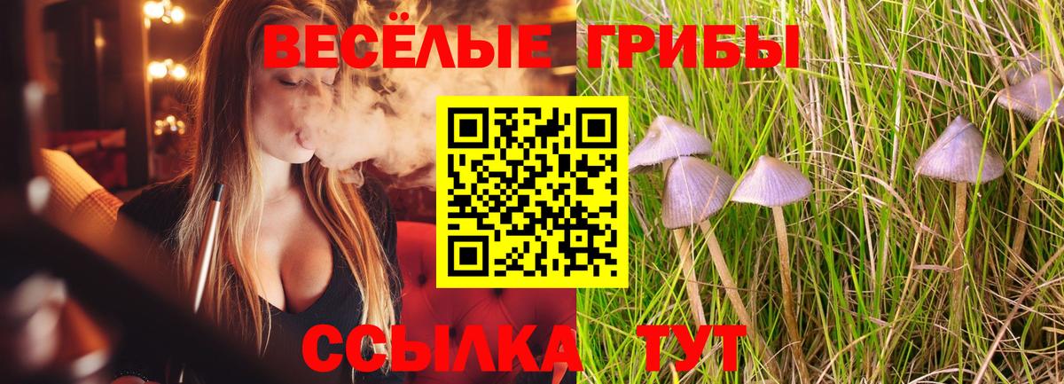 Коркино  Псилоцибиновые грибы Cubensis  где купить наркоту  Галлюциногенные грибы мицелий  Вход с VPN 